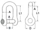 10-mm S.S. anchor shackle